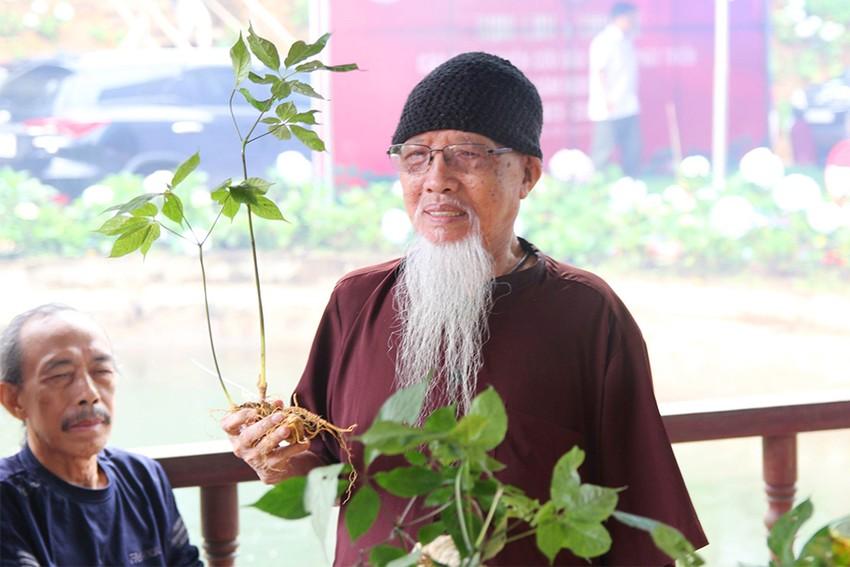 GIỚI NGHIÊN CỨU NGỠ NGÀNG VỀ SÂM NGỌC LINH